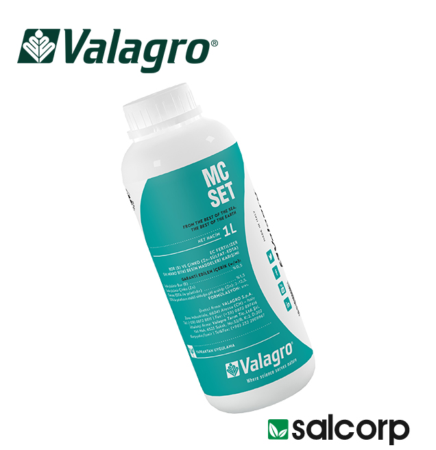 Kalium 450 1/1